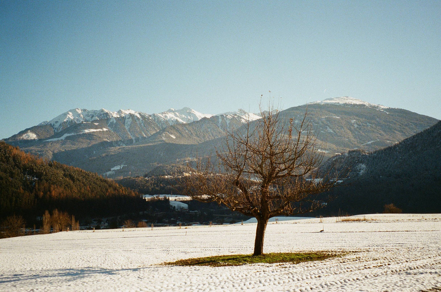 Canon Prima Zoom Mini