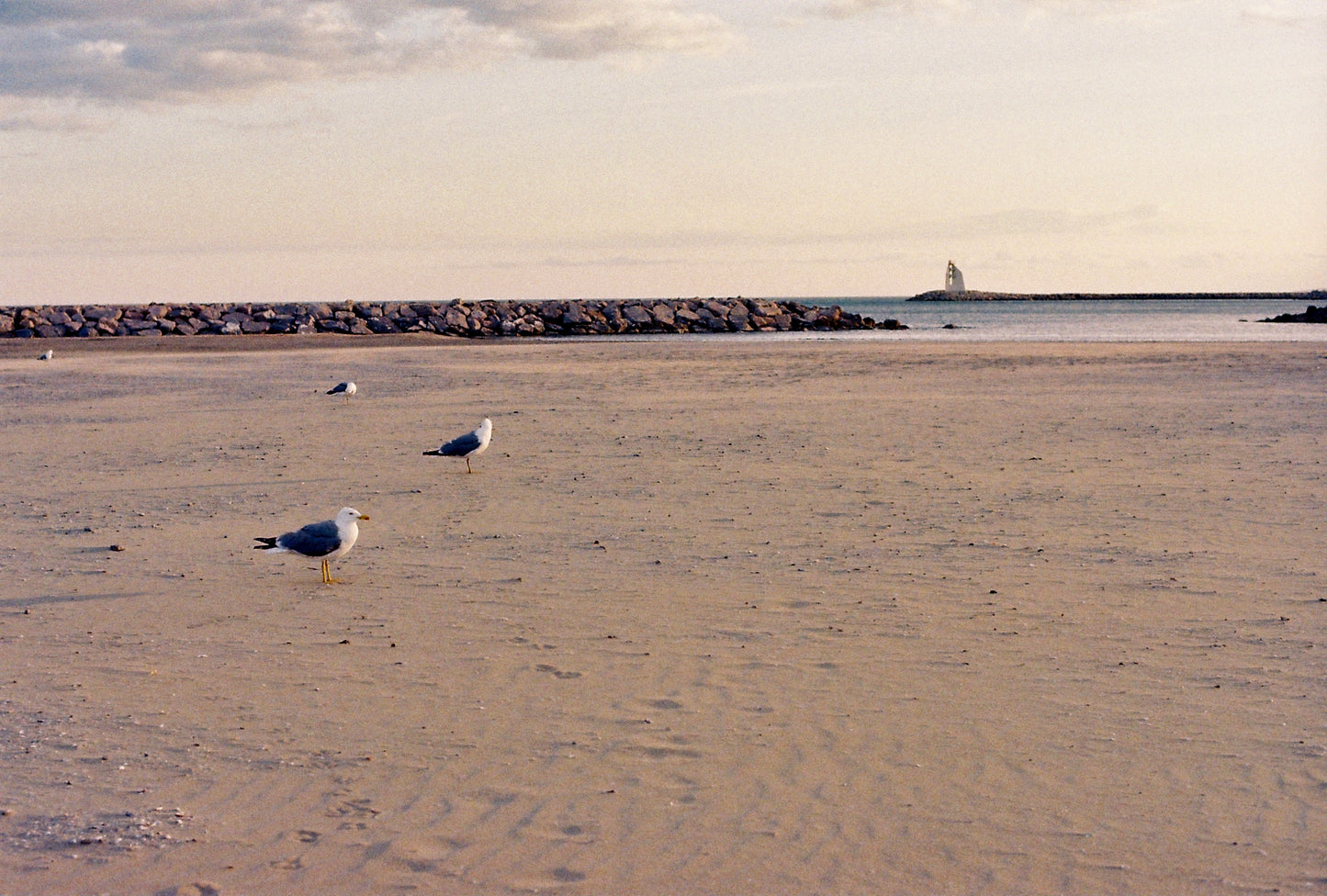 Nikon FE + Nikkor 35-70mm 1:3.5