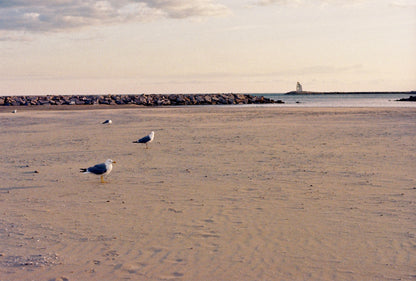 Nikon FE + Nikkor 35-70mm 1:3.5