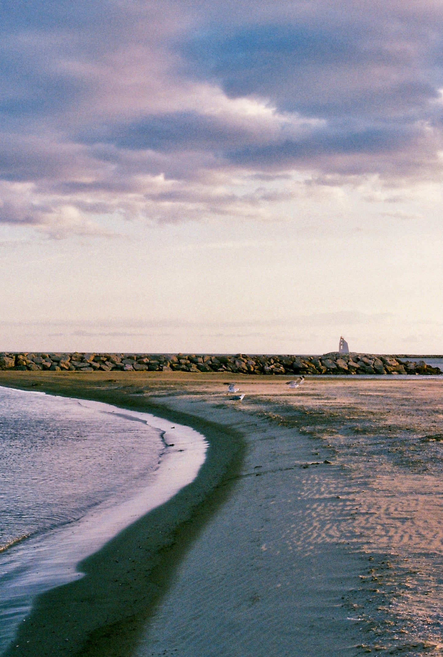 Nikon FE + Nikkor 35-70mm 1:3.5