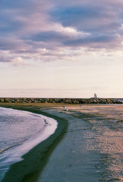 Nikon FE + Nikkor 35-70mm 1:3.5