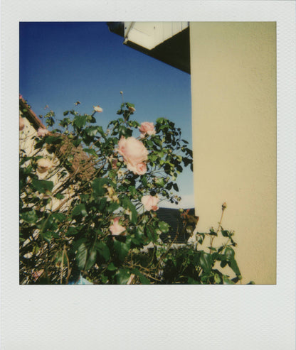 Polaroid Supercolor 1000