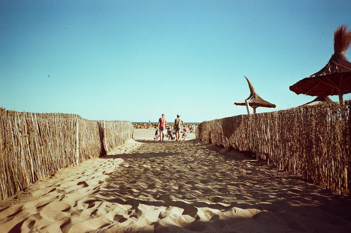 Canon Pureshot