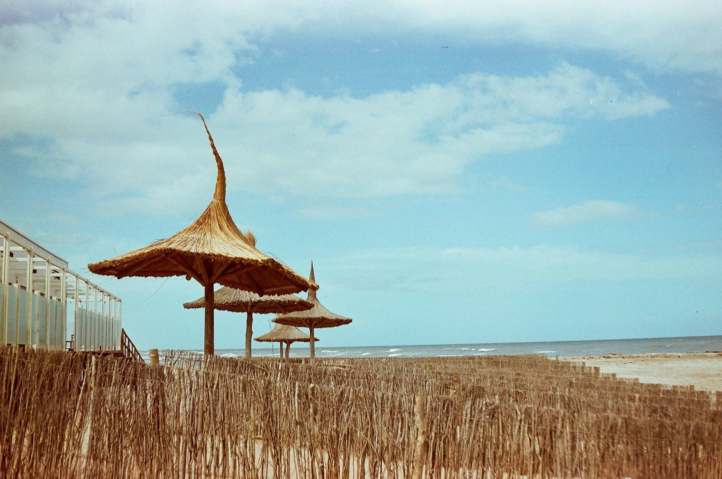 Canon Pureshot