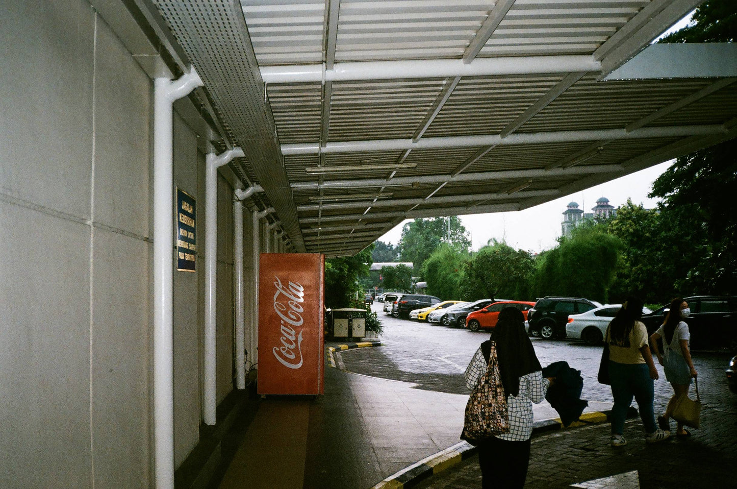 Fuji dl-80