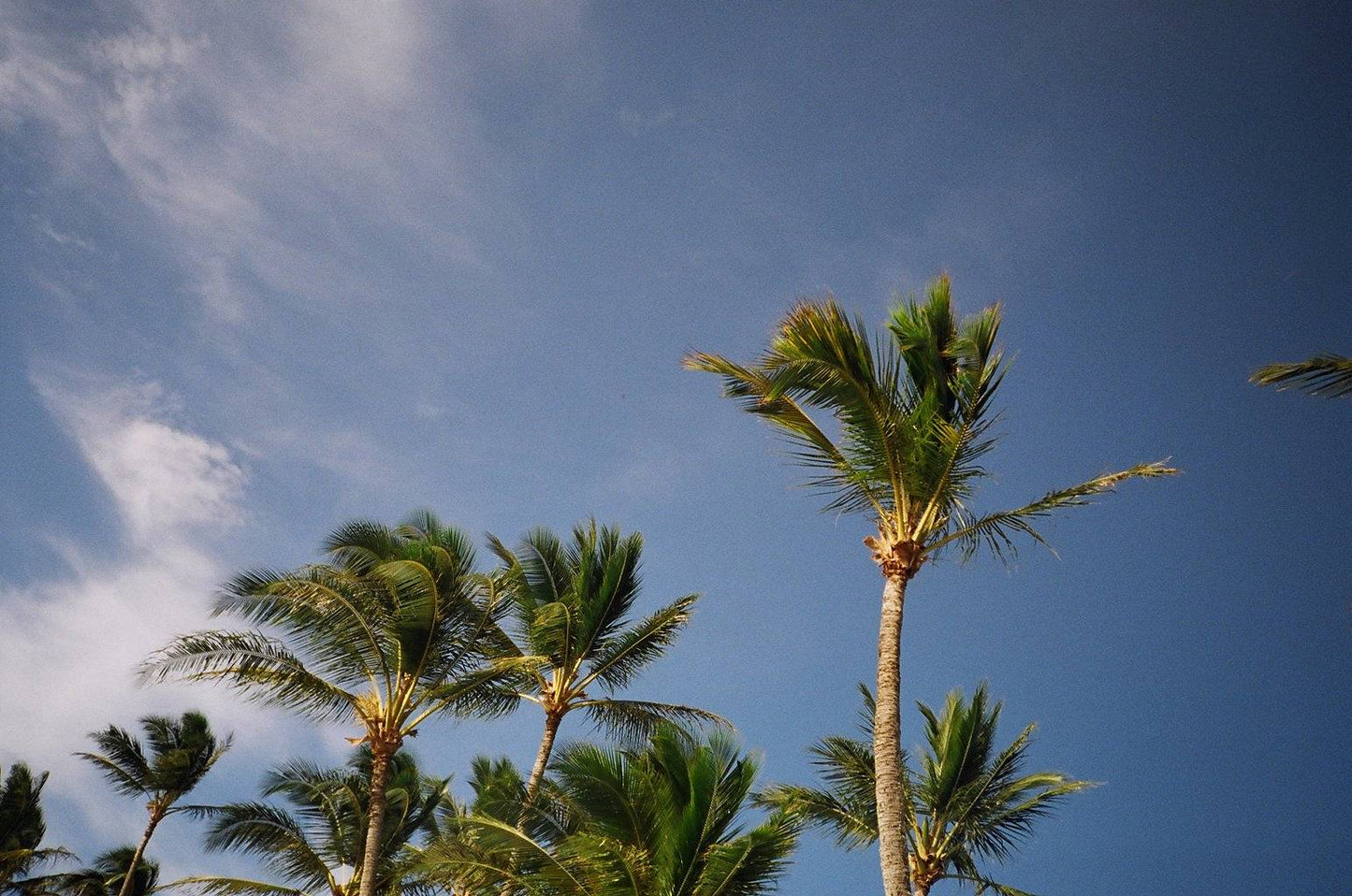 Olympus Trip AF mini