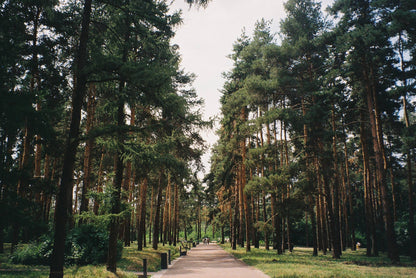 Olympus AZ-100 Zoom
