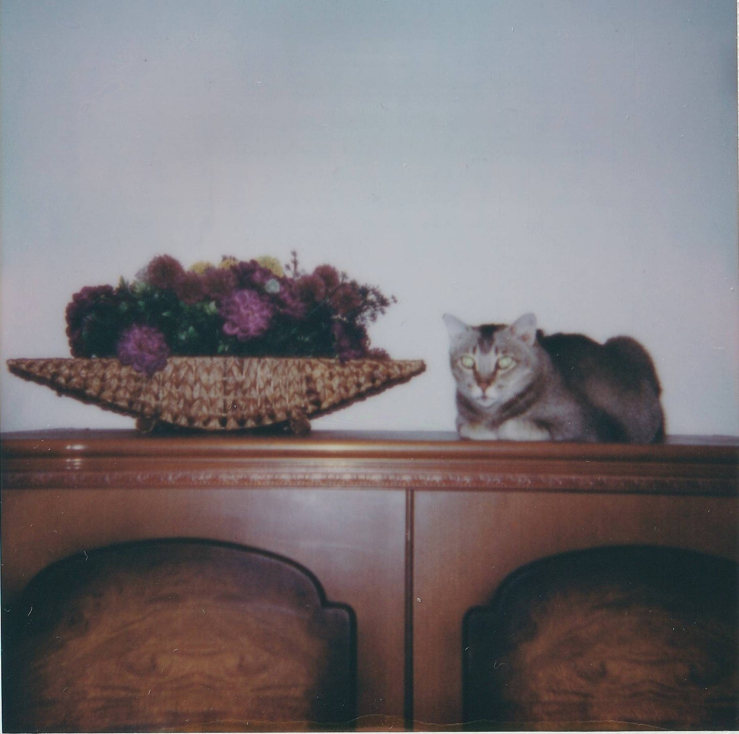 Polaroid supercolor 600